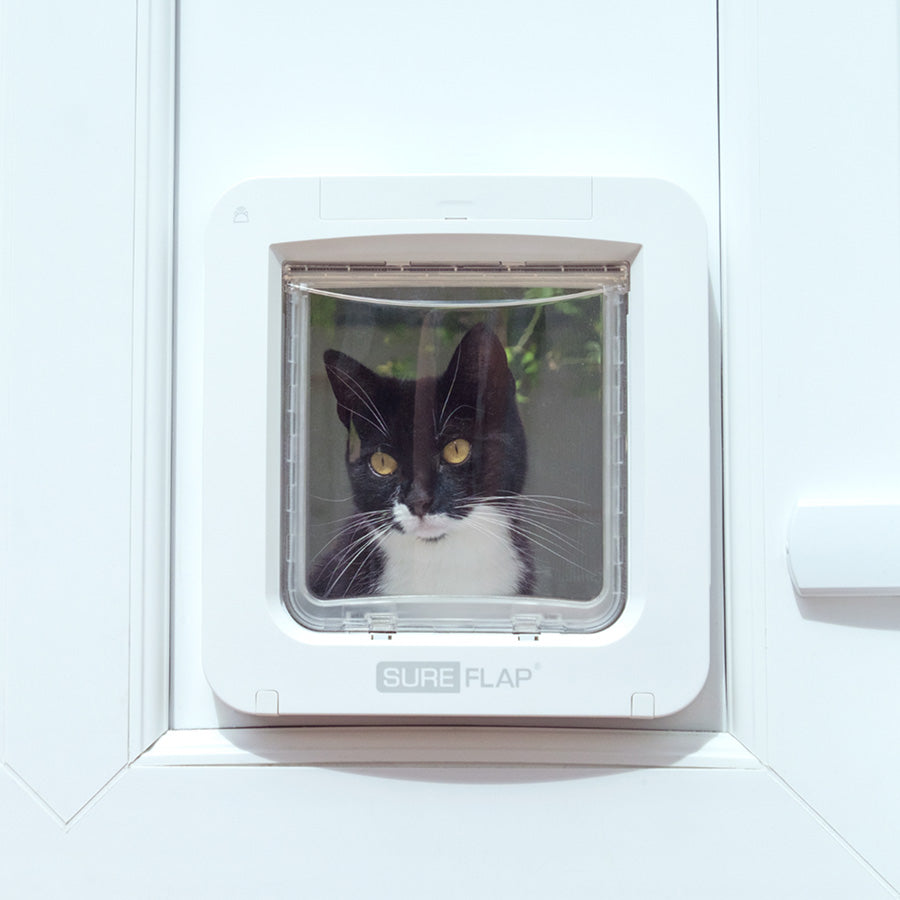 SureFlap Microchip Cat Flap Connect & Hub Bundle – White