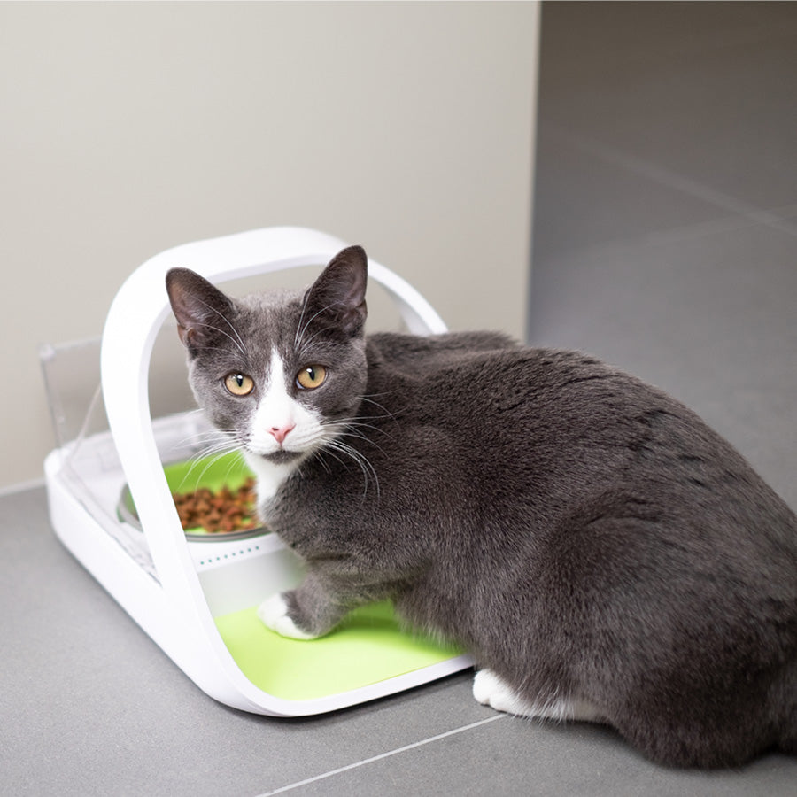 SureFeed Microchip Pet Feeder Connect – Smart Automatic Microchip Pet Feeder for Cats & Small Dogs