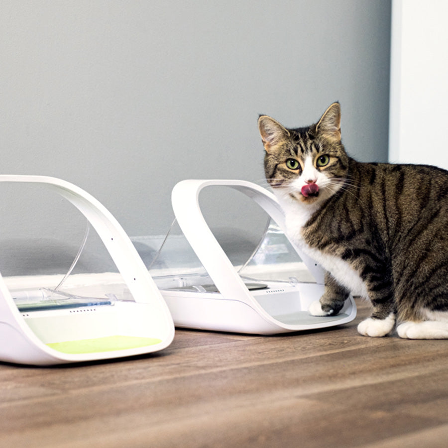 SureFeed Microchip Pet Feeder Connect – Smart Automatic Microchip Pet Feeder for Cats & Small Dogs